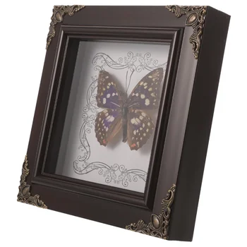  Бабочка в рамке Образец Дисплей Деревянная рамка Бабочка Декор Настольный орнамент