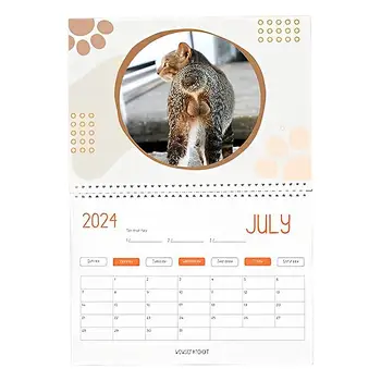 Кошачьи задницы 2024 для любителей кошек Календарь забавных кошек Календарь поп котенка на 2024 год Ежемесячные настенные календари Милый забавный календарь для стола