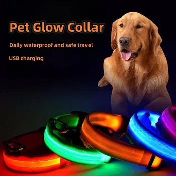 Светящийся ошейник для домашних животных, талисман для собак и кошек, используется для безопасного передвижения собак на улице в ночное время, светодиодная зарядка USB для улицы