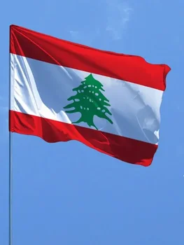 ФЛАГДОМ 3X5Fts 90X150см Флаг Республики Ливан